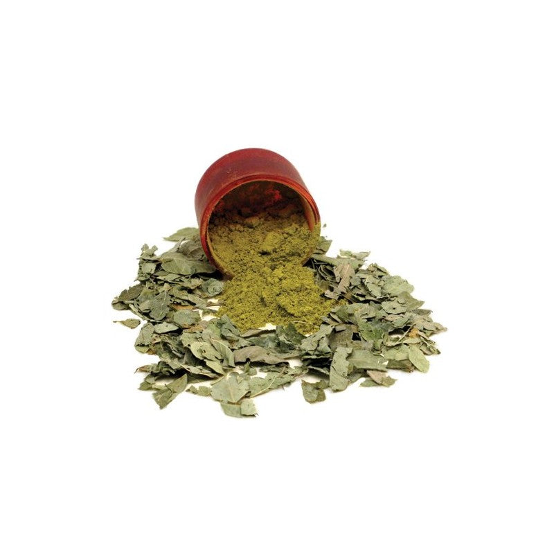 Herbal Hair Care: Shikakai, Henna, Black Walnut